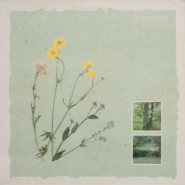 Virginia Astley ~ From Gardens Where We Feel Secure (Vinyl) - Djungel & Jazz