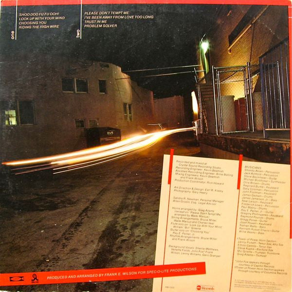 Lenny Williams ~ Choosing You (Vinyl) - Djungel & Jazz