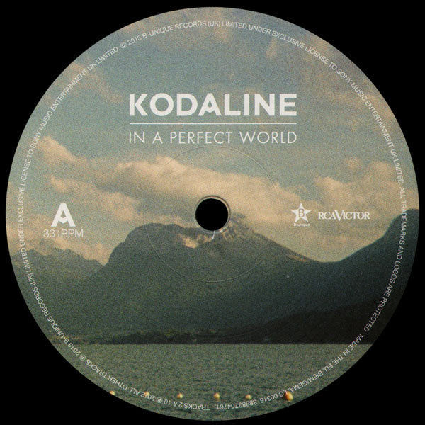 Kodaline ~ In A Perfect World (Vinyl) - Djungel & Jazz