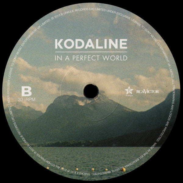 Kodaline ~ In A Perfect World (Vinyl) - Djungel & Jazz