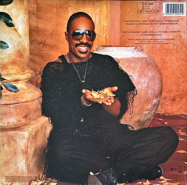 Stevie Wonder ~ In Square Circle (Vinyl) - Djungel & Jazz