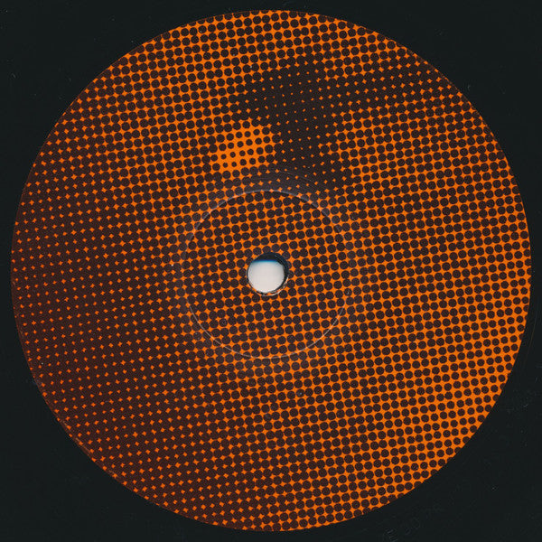 The Sunburst Band : Garden Of Love (12", Promo)