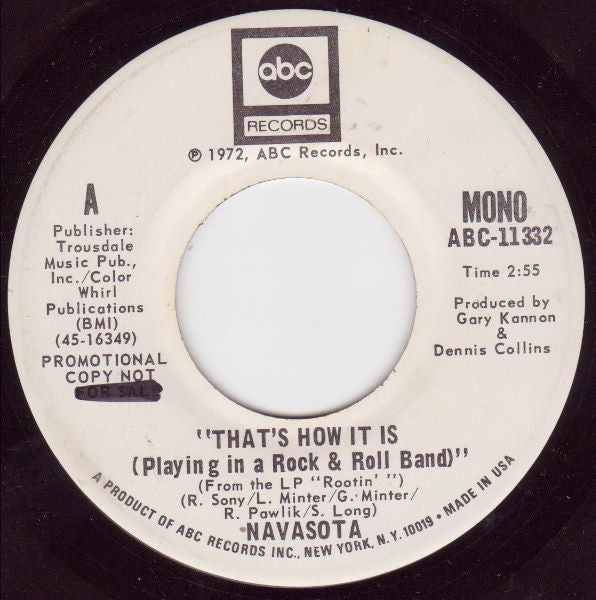 Navasota ~ That's How It Is (Playing In A Rock & Roll Band) (Vinyl) - Djungel & Jazz