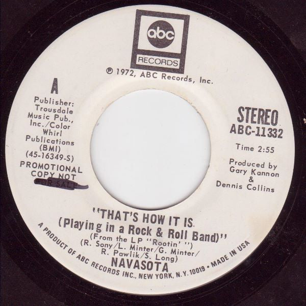 Navasota ~ That's How It Is (Playing In A Rock & Roll Band) (Vinyl) - Djungel & Jazz