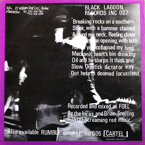 Inca Babies ~ Surfin' In Locustland (Vinyl) - Djungel & Jazz