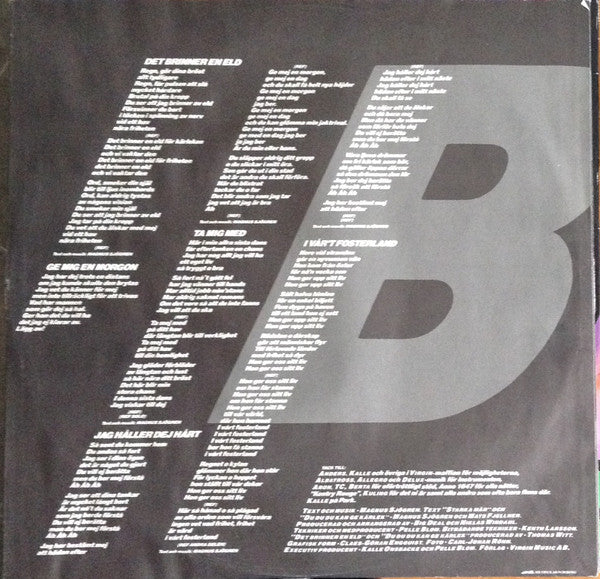 Big Deal ~ Vacker Bild (Vinyl) - Djungel & Jazz