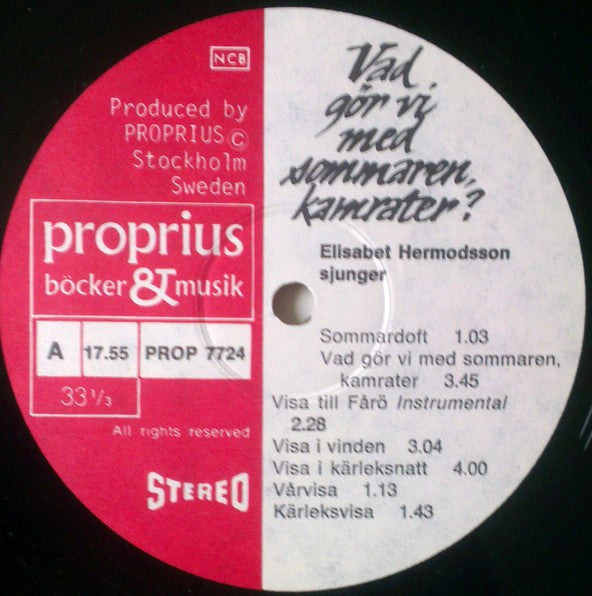 Elisabet Hermodsson ~ Vad Gör Vi Med Sommaren, Kamrater? (Vinyl) - Djungel & Jazz