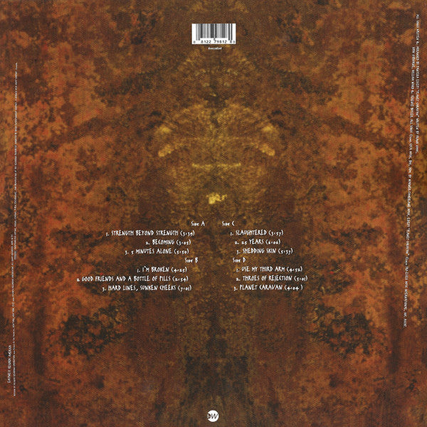 Pantera ~ Far Beyond Driven (Vinyl) - Djungel & Jazz