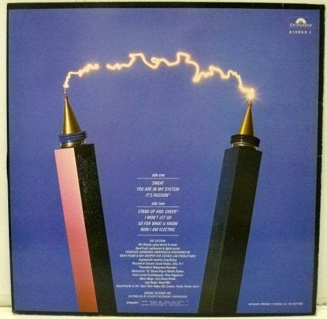 The System ~ Sweat (Vinyl) - Djungel & Jazz