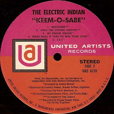 The Electric Indian ~ Keem-O-Sabe (Vinyl) - Djungel & Jazz