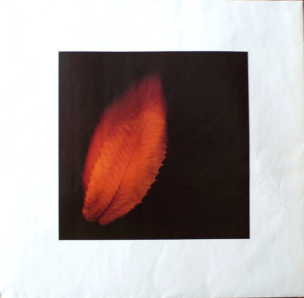Peter Gabriel ~ Shaking The Tree: Twelve Golden Greats (Vinyl) - Djungel & Jazz