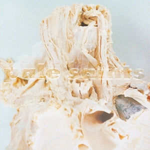 Pale Saints – In Ribbons (LP)