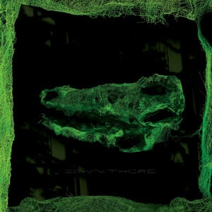 Avey Tare – Down There (LP)