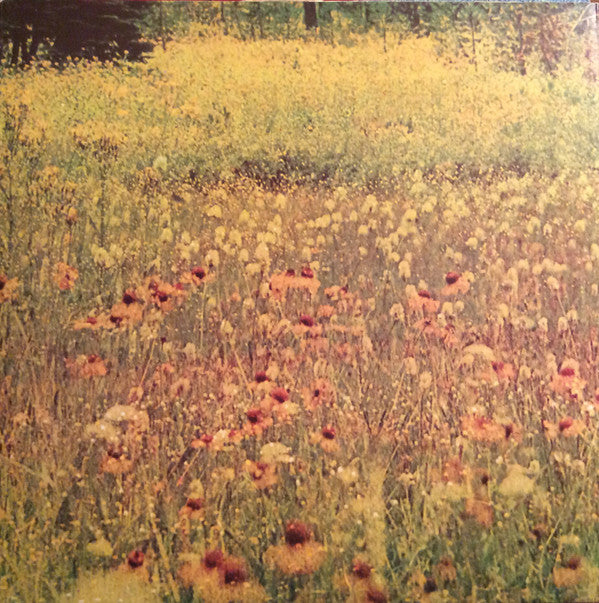 Harold Melvin & The Blue Notes ~ Wake Up Everybody (Vinyl) - Djungel & Jazz