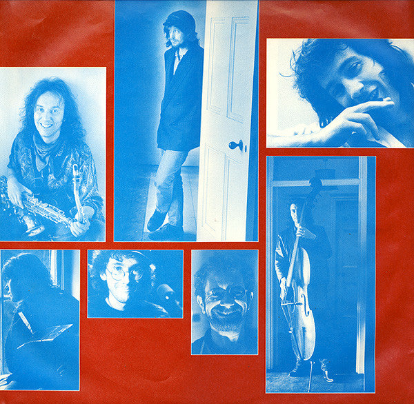The WaterBoys ~ Room To Roam (Vinyl) - Djungel & Jazz