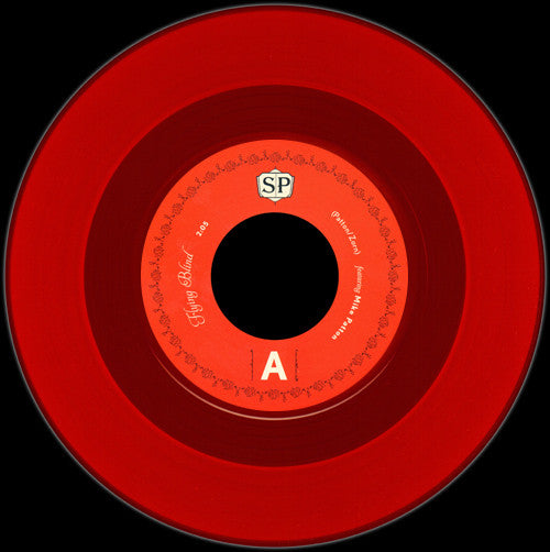 John Zorn ~ The Song Project (Vinyl) - Djungel & Jazz