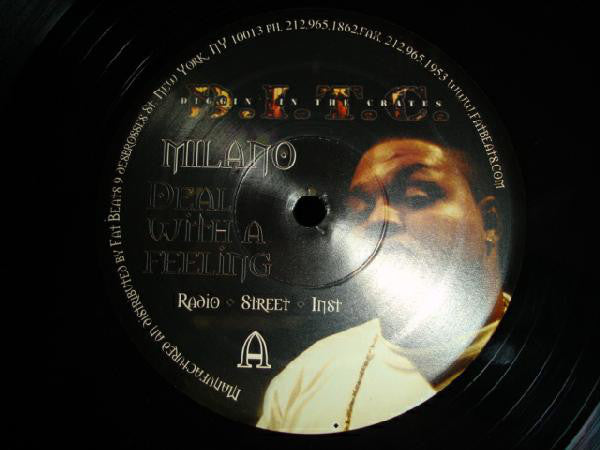 Milano (2) : Deal With A Feeling (12")