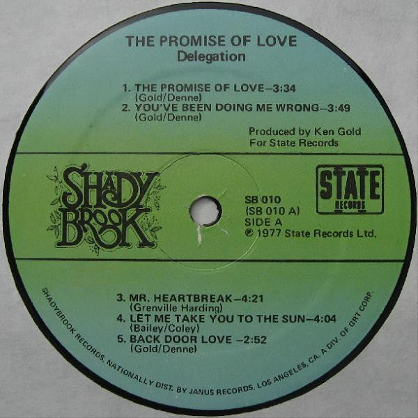 Delegation ~ The Promise Of Love (Vinyl) - Djungel & Jazz