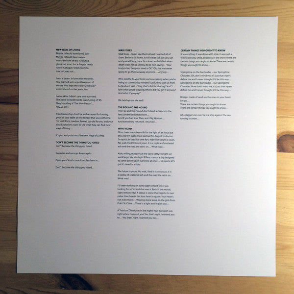 Destroyer ~ Your Blues (Vinyl) - Djungel & Jazz