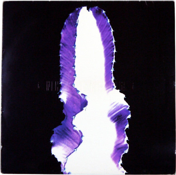 Spacelab ~ Space Is Big, Man Is Small (Vinyl) - Djungel & Jazz