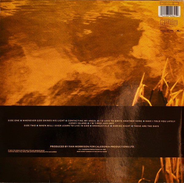 Van Morrison : Avalon Sunset (LP, Album)