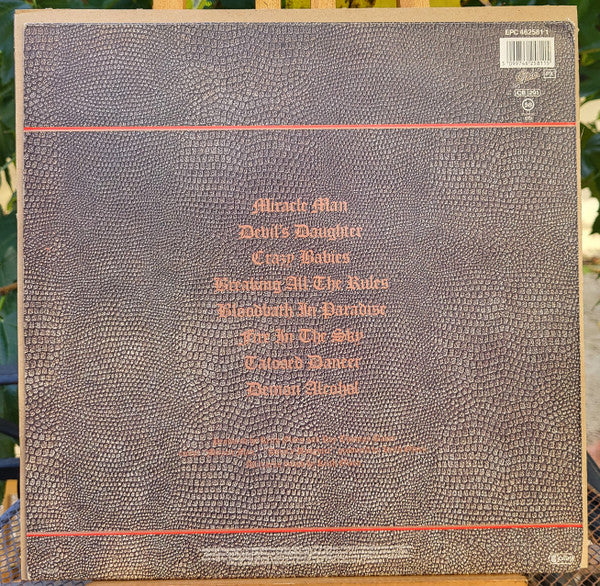 Ozzy Osbourne ~ No Rest For The Wicked (Vinyl) - Djungel & Jazz