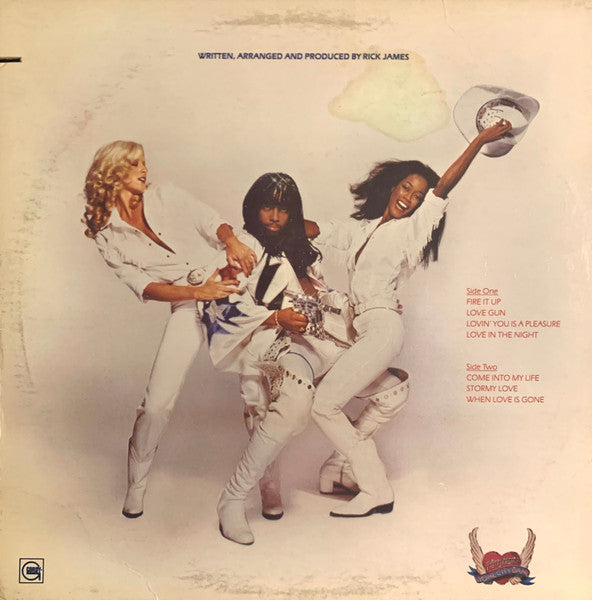 Rick James ~ Fire It Up (Vinyl) - Djungel & Jazz