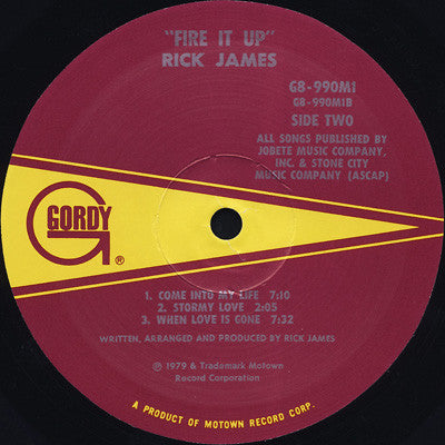 Rick James ~ Fire It Up (Vinyl) - Djungel & Jazz