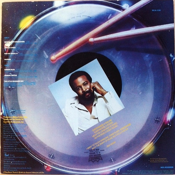 Stix Hooper* : The World Within (LP, Album, Gat)