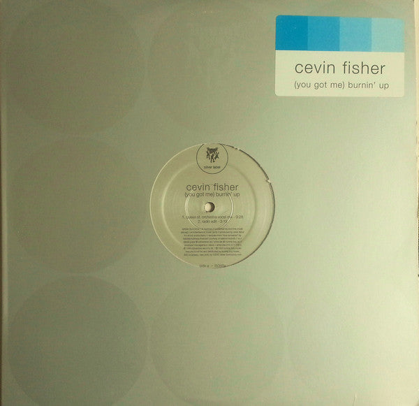 Cevin Fisher Featuring Loleatta Holloway ~ (You Got Me) Burnin' Up (Vinyl) - Djungel & Jazz