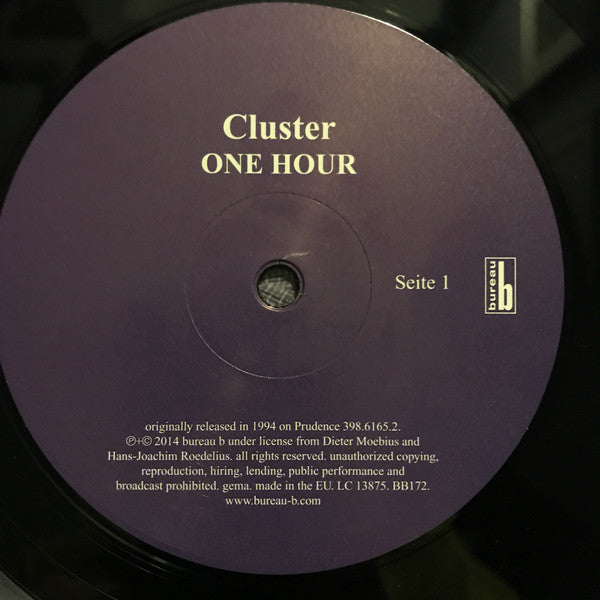 Cluster ~ One Hour (Vinyl) - Djungel & Jazz