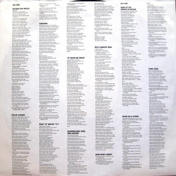 Jungle Brothers ~ Done By The Forces Of Nature (Vinyl) - Djungel & Jazz