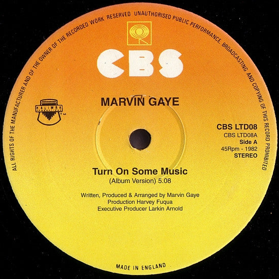 Marvin Gaye : Turn On Some Music (12", Single)