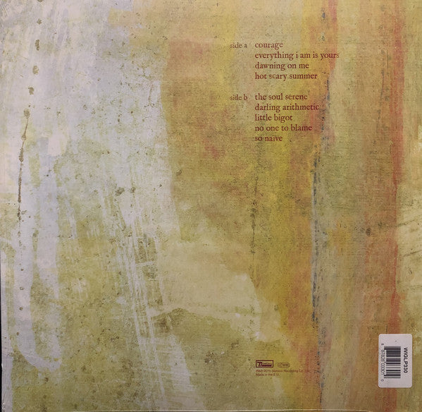 Villagers ~ Darling Arithmetic (Vinyl) - Djungel & Jazz