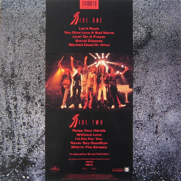 Bon Jovi ~ Slippery When Wet (Vinyl) - Djungel & Jazz