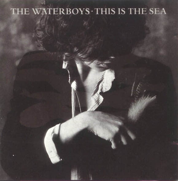 The Waterboys ~ This Is The Sea (Vinyl) - Djungel & Jazz