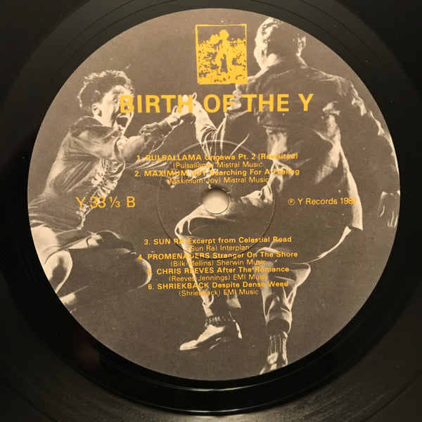 Various ~ Birth Of The Y (Vinyl) - Djungel & Jazz