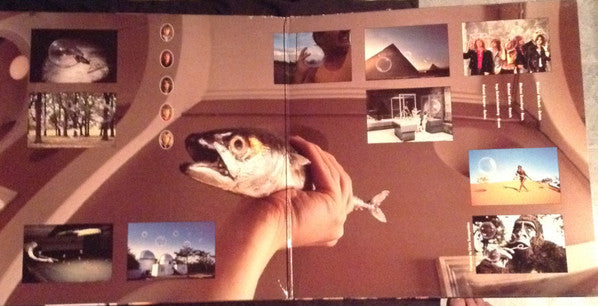 Helloween ~ Pink Bubbles Go Ape (Vinyl) - Djungel & Jazz