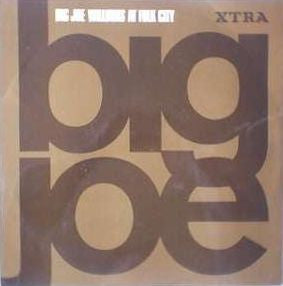 Big Joe ~ Big Joe Williams At Folk City (Vinyl) - Djungel & Jazz