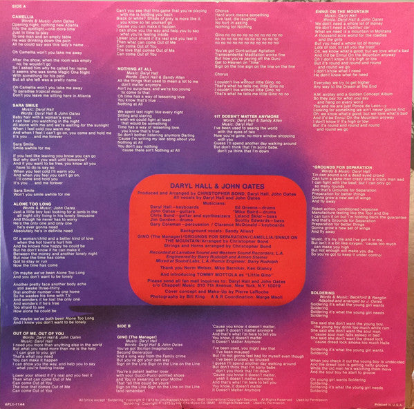 Daryl Hall & John Oates ~ Daryl Hall & John Oates (Vinyl) - Djungel & Jazz