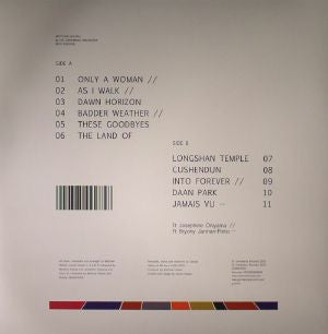Matthew Halsall & The Gondwana Orchestra ~ Into Forever (Vinyl) - Djungel & Jazz