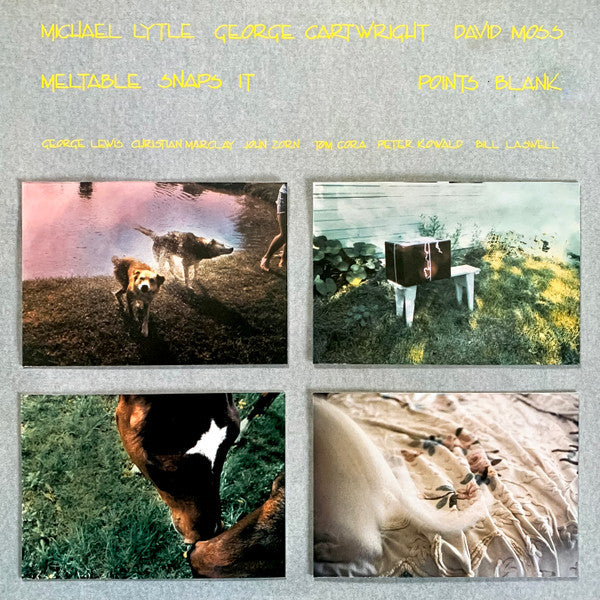 Meltable Snaps It : Points Blank (LP, Album)
