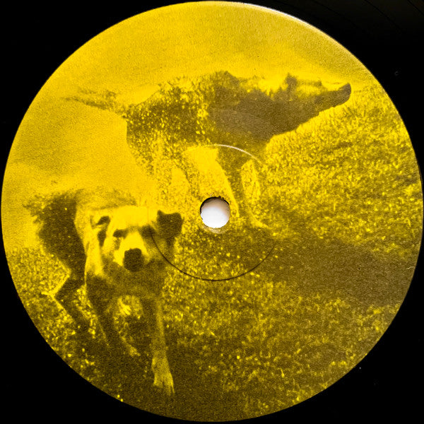 Meltable Snaps It : Points Blank (LP, Album)