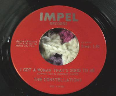 The Constellations ~ If Everybody (Vinyl) - Djungel & Jazz