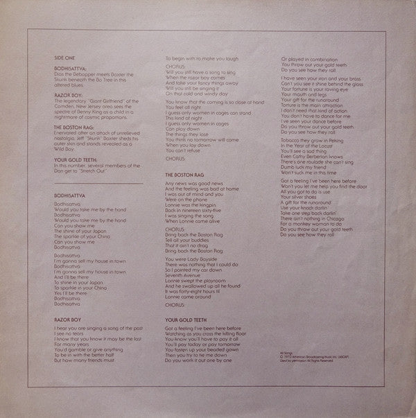 Steely Dan ~ Countdown To Ecstasy (Vinyl) - Djungel & Jazz