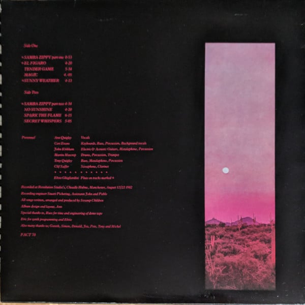 Swamp Children ~ So Hot (Vinyl) - Djungel & Jazz