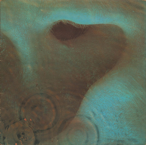 Pink Floyd ~ Meddle (Vinyl) - Djungel & Jazz