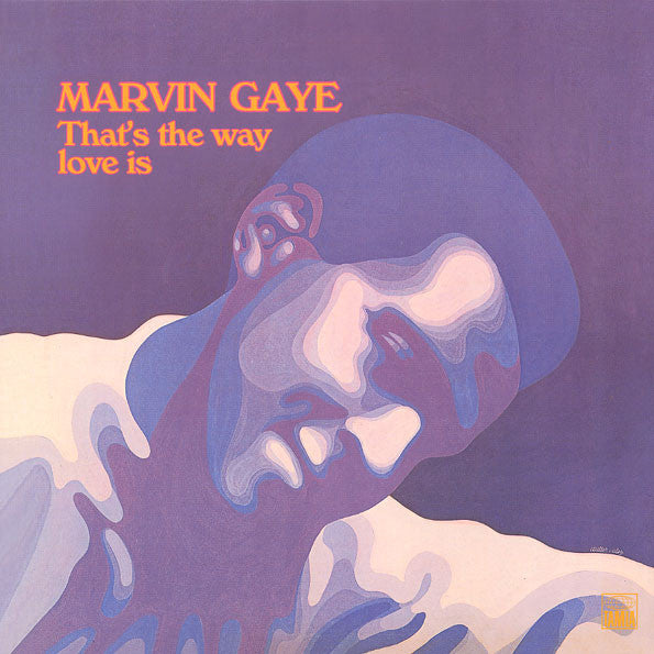 Marvin Gaye ~ That's The Way Love Is (Vinyl) - Djungel & Jazz