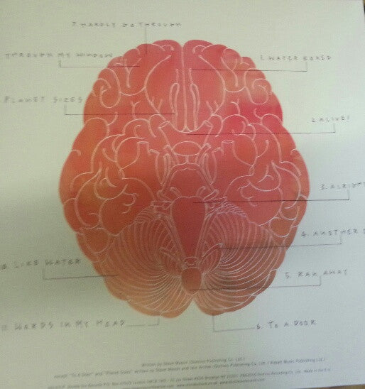 Steve Mason ~ Meet The Humans (Vinyl) - Djungel & Jazz