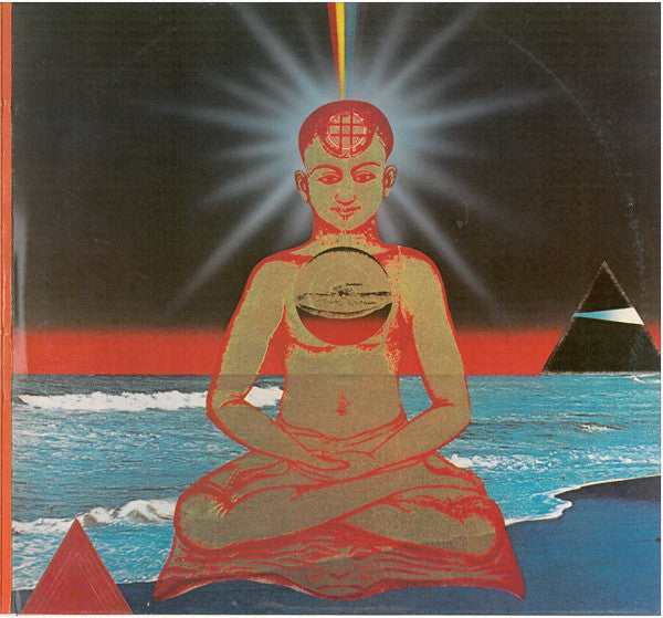 Carlos Santana ~ The Swing Of Delight (Vinyl) - Djungel & Jazz